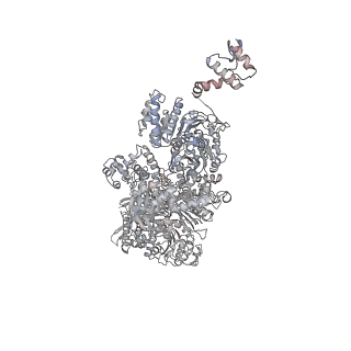8012_5gan_B_v1-4
The overall structure of the yeast spliceosomal U4/U6.U5 tri-snRNP at 3.7 Angstrom