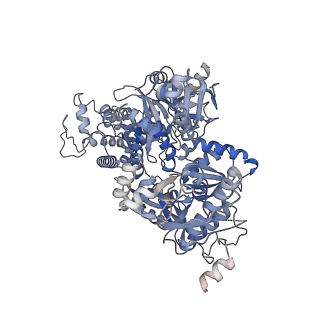 8012_5gan_C_v1-4
The overall structure of the yeast spliceosomal U4/U6.U5 tri-snRNP at 3.7 Angstrom