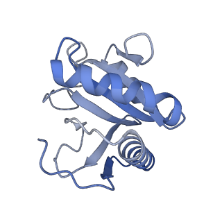 8012_5gan_D_v1-4
The overall structure of the yeast spliceosomal U4/U6.U5 tri-snRNP at 3.7 Angstrom
