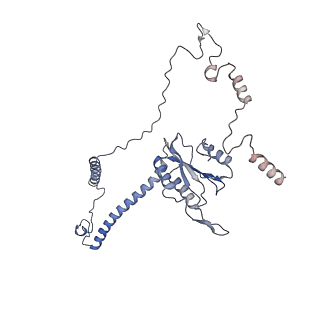 8012_5gan_G_v1-4
The overall structure of the yeast spliceosomal U4/U6.U5 tri-snRNP at 3.7 Angstrom