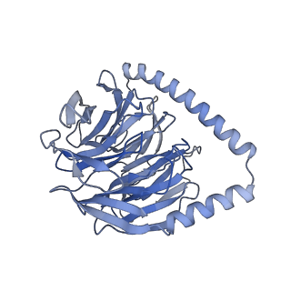 8012_5gan_H_v1-4
The overall structure of the yeast spliceosomal U4/U6.U5 tri-snRNP at 3.7 Angstrom