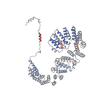 8012_5gan_J_v1-4
The overall structure of the yeast spliceosomal U4/U6.U5 tri-snRNP at 3.7 Angstrom