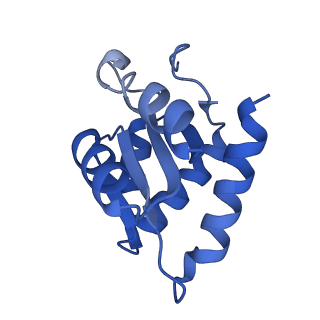 8012_5gan_K_v1-4
The overall structure of the yeast spliceosomal U4/U6.U5 tri-snRNP at 3.7 Angstrom
