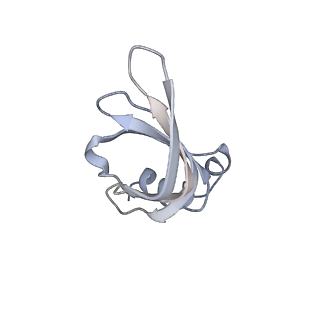 8012_5gan_d_v1-4
The overall structure of the yeast spliceosomal U4/U6.U5 tri-snRNP at 3.7 Angstrom