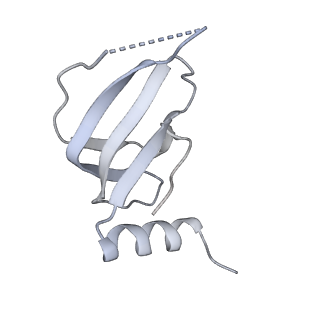 8012_5gan_e_v1-4
The overall structure of the yeast spliceosomal U4/U6.U5 tri-snRNP at 3.7 Angstrom