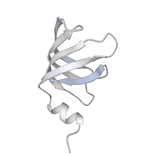 8012_5gan_f_v1-4
The overall structure of the yeast spliceosomal U4/U6.U5 tri-snRNP at 3.7 Angstrom