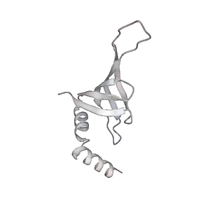 8012_5gan_j_v1-4
The overall structure of the yeast spliceosomal U4/U6.U5 tri-snRNP at 3.7 Angstrom