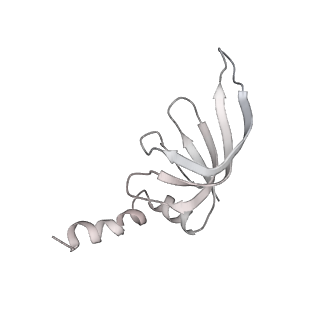 8012_5gan_m_v1-4
The overall structure of the yeast spliceosomal U4/U6.U5 tri-snRNP at 3.7 Angstrom
