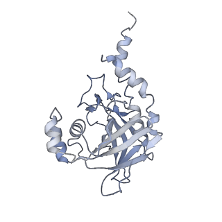 8013_5gao_A_v1-4
Head region of the yeast spliceosomal U4/U6.U5 tri-snRNP