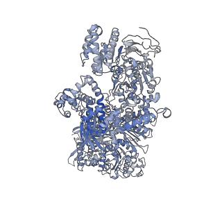 8013_5gao_B_v1-4
Head region of the yeast spliceosomal U4/U6.U5 tri-snRNP