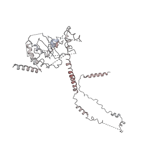 8013_5gao_E_v1-4
Head region of the yeast spliceosomal U4/U6.U5 tri-snRNP