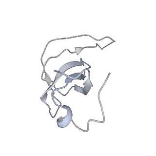 8013_5gao_k_v1-4
Head region of the yeast spliceosomal U4/U6.U5 tri-snRNP