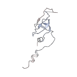 8013_5gao_l_v1-4
Head region of the yeast spliceosomal U4/U6.U5 tri-snRNP