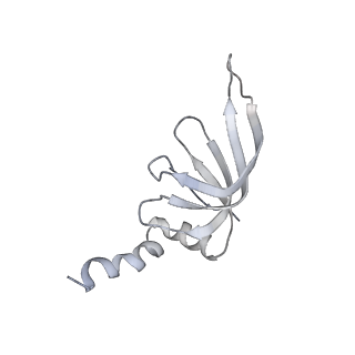 8013_5gao_m_v1-4
Head region of the yeast spliceosomal U4/U6.U5 tri-snRNP