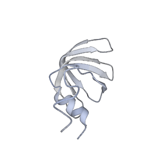 8013_5gao_n_v1-4
Head region of the yeast spliceosomal U4/U6.U5 tri-snRNP
