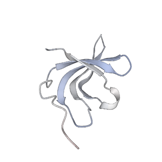 8013_5gao_r_v1-4
Head region of the yeast spliceosomal U4/U6.U5 tri-snRNP