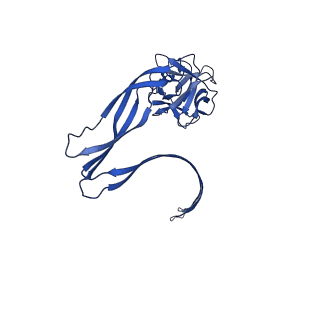 8015_5gaq_C_v1-7
Cryo-EM structure of the Lysenin Pore