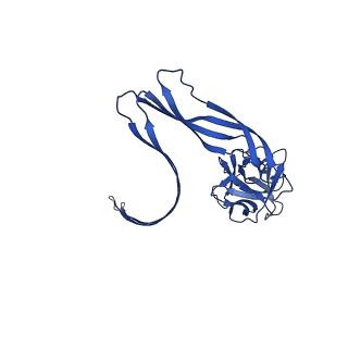 8015_5gaq_E_v1-7
Cryo-EM structure of the Lysenin Pore