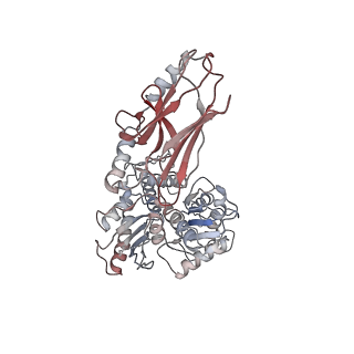 29912_8gb3_D_v1-0
Structure of the Mycobacterium tuberculosis Hsp70 protein DnaK bound to the nucleotide exchange factor GrpE