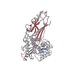 29912_8gb3_D_v1-1
Structure of the Mycobacterium tuberculosis Hsp70 protein DnaK bound to the nucleotide exchange factor GrpE