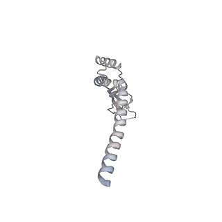 29912_8gb3_E_v1-1
Structure of the Mycobacterium tuberculosis Hsp70 protein DnaK bound to the nucleotide exchange factor GrpE