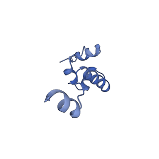 29917_8gbj_B_v1-2
Cryo-EM structure of a human BCDX2/ssDNA complex