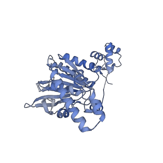 29917_8gbj_C_v1-2
Cryo-EM structure of a human BCDX2/ssDNA complex