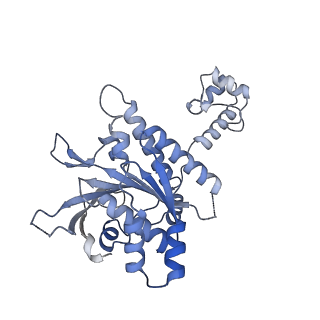 29917_8gbj_D_v1-2
Cryo-EM structure of a human BCDX2/ssDNA complex