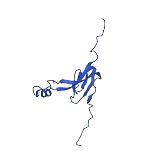 4370_6gb2_B0_v1-2
Unique features of mammalian mitochondrial translation initiation revealed by cryo-EM. This file contains the 39S ribosomal subunit.