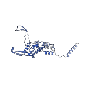 4370_6gb2_B1_v1-2
Unique features of mammalian mitochondrial translation initiation revealed by cryo-EM. This file contains the 39S ribosomal subunit.