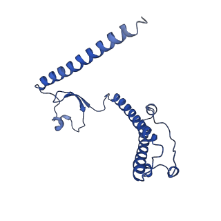 4370_6gb2_B2_v1-2
Unique features of mammalian mitochondrial translation initiation revealed by cryo-EM. This file contains the 39S ribosomal subunit.