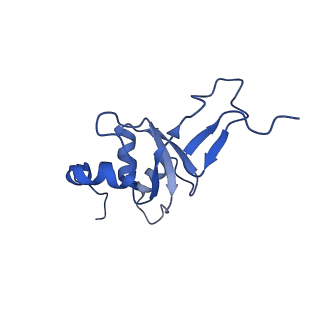 4370_6gb2_B3_v1-2
Unique features of mammalian mitochondrial translation initiation revealed by cryo-EM. This file contains the 39S ribosomal subunit.