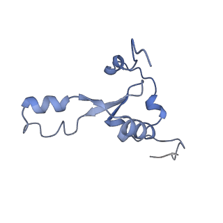4370_6gb2_B8_v1-2
Unique features of mammalian mitochondrial translation initiation revealed by cryo-EM. This file contains the 39S ribosomal subunit.