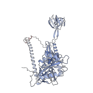 4370_6gb2_BC_v1-2
Unique features of mammalian mitochondrial translation initiation revealed by cryo-EM. This file contains the 39S ribosomal subunit.