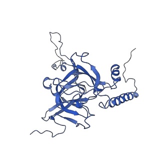 4370_6gb2_BE_v1-2
Unique features of mammalian mitochondrial translation initiation revealed by cryo-EM. This file contains the 39S ribosomal subunit.