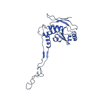 4370_6gb2_BF_v1-2
Unique features of mammalian mitochondrial translation initiation revealed by cryo-EM. This file contains the 39S ribosomal subunit.