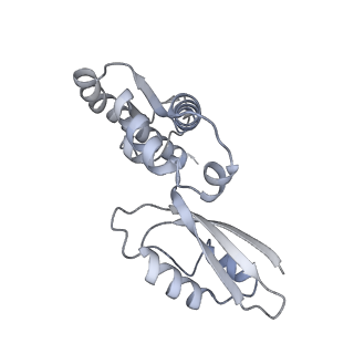 4370_6gb2_BK_v1-2
Unique features of mammalian mitochondrial translation initiation revealed by cryo-EM. This file contains the 39S ribosomal subunit.