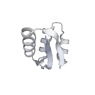 4370_6gb2_BL_v1-2
Unique features of mammalian mitochondrial translation initiation revealed by cryo-EM. This file contains the 39S ribosomal subunit.