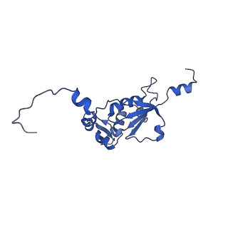 4370_6gb2_BN_v1-2
Unique features of mammalian mitochondrial translation initiation revealed by cryo-EM. This file contains the 39S ribosomal subunit.