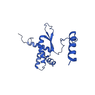 4370_6gb2_BR_v1-2
Unique features of mammalian mitochondrial translation initiation revealed by cryo-EM. This file contains the 39S ribosomal subunit.