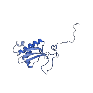 4370_6gb2_BS_v1-2
Unique features of mammalian mitochondrial translation initiation revealed by cryo-EM. This file contains the 39S ribosomal subunit.