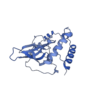 4370_6gb2_BT_v1-2
Unique features of mammalian mitochondrial translation initiation revealed by cryo-EM. This file contains the 39S ribosomal subunit.