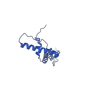 4370_6gb2_BU_v1-2
Unique features of mammalian mitochondrial translation initiation revealed by cryo-EM. This file contains the 39S ribosomal subunit.