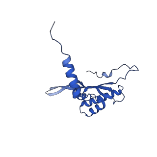 4370_6gb2_BW_v1-2
Unique features of mammalian mitochondrial translation initiation revealed by cryo-EM. This file contains the 39S ribosomal subunit.