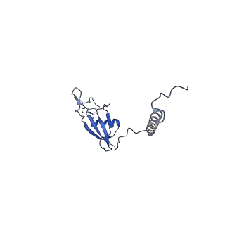 4370_6gb2_BX_v1-2
Unique features of mammalian mitochondrial translation initiation revealed by cryo-EM. This file contains the 39S ribosomal subunit.