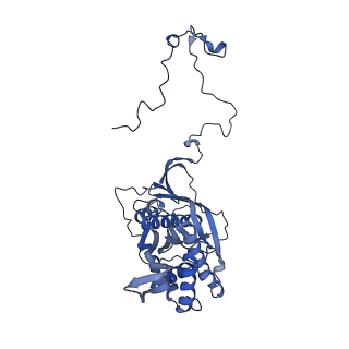 4370_6gb2_Ba_v1-2
Unique features of mammalian mitochondrial translation initiation revealed by cryo-EM. This file contains the 39S ribosomal subunit.