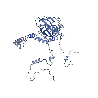 4370_6gb2_Bb_v1-2
Unique features of mammalian mitochondrial translation initiation revealed by cryo-EM. This file contains the 39S ribosomal subunit.