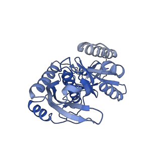4370_6gb2_Bc_v1-2
Unique features of mammalian mitochondrial translation initiation revealed by cryo-EM. This file contains the 39S ribosomal subunit.