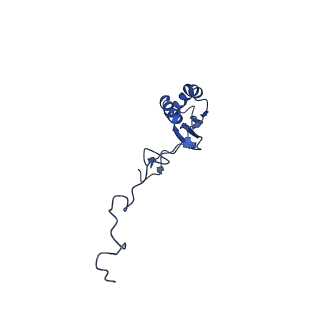 4370_6gb2_Bg_v1-2
Unique features of mammalian mitochondrial translation initiation revealed by cryo-EM. This file contains the 39S ribosomal subunit.