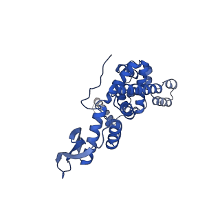 4370_6gb2_Bh_v1-2
Unique features of mammalian mitochondrial translation initiation revealed by cryo-EM. This file contains the 39S ribosomal subunit.